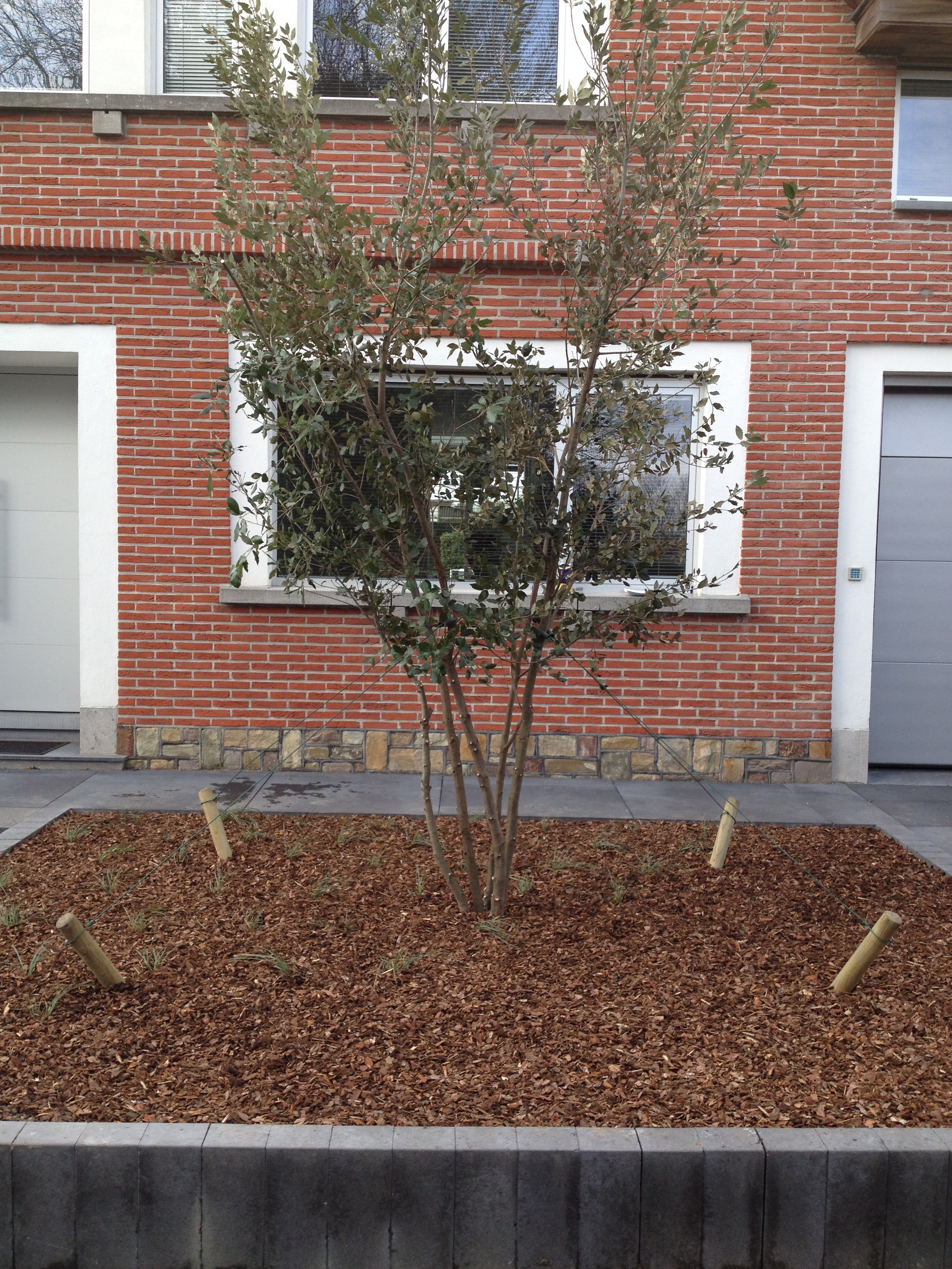 Aanplanting voortuin