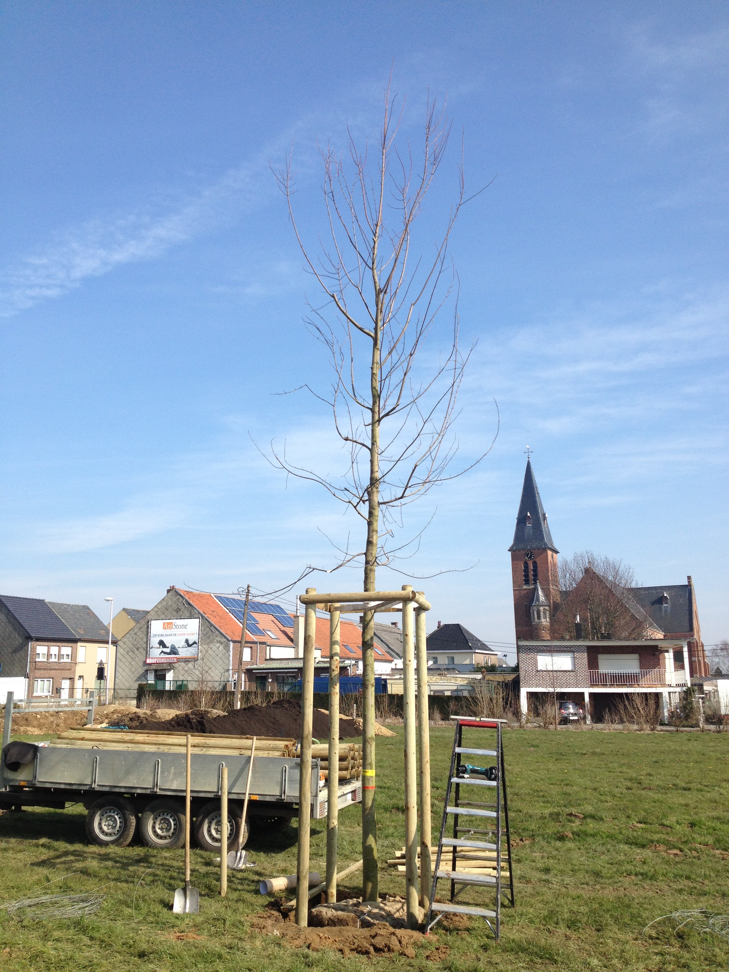 aanplanten van bomen